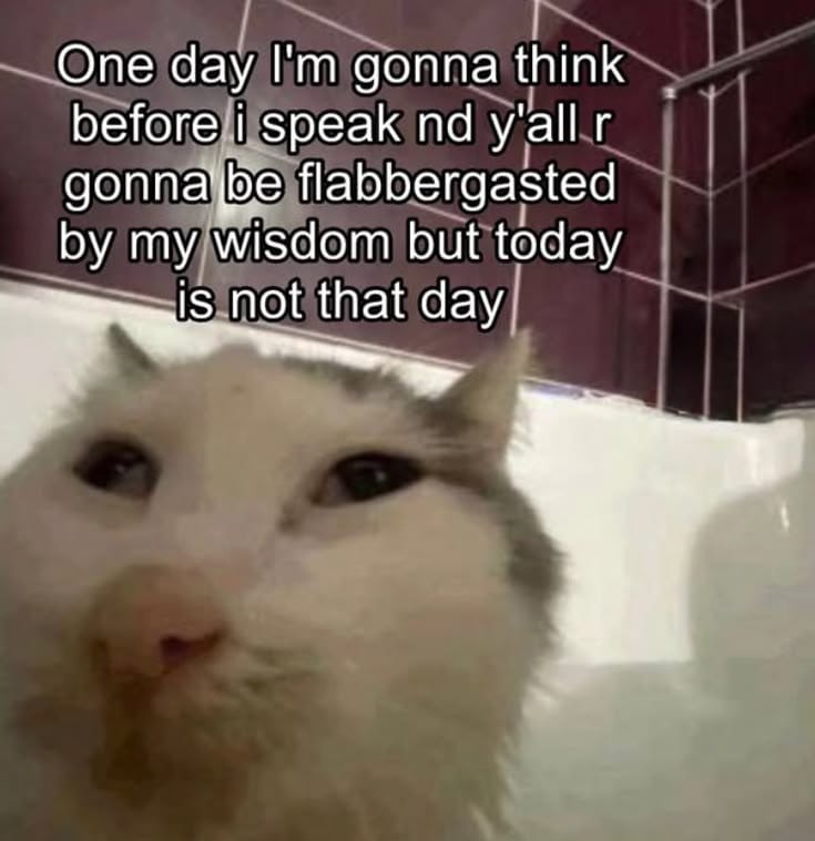 Picture of a cat in what seems like a bathtub looking very confused at something behind the camera with a text above: One day I'm gonna think before i speak and y'all are gonna be flabbergasted by my wisdom but today is not that day
